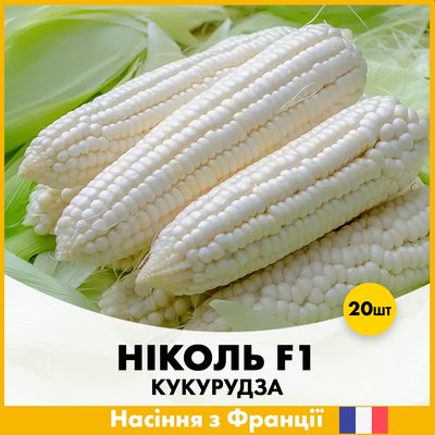 Цукрова кукурудза Ніколь F1, 20 шт R30130 фото
