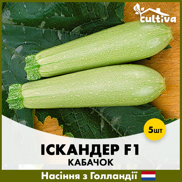 Кабачок Іскандер F1, 5 шт, Голландське насіння K2 фото