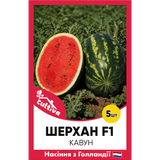 Арбуз Шерхан F1, 5 шт, Семена из Голландии, Hazera KR929187 фото