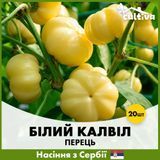 Перец Белый Калвил, 20 шт, Сербские семена R51230 фото
