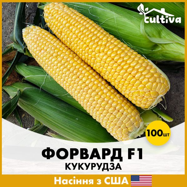 Суперсолодка Кукурудза Форвард F1, 100 шт, США jkl19-100 фото