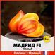 Томат Мадрид F1, 5 шт R30127 фото 1