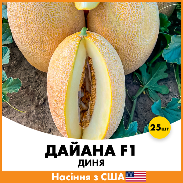 Дыня Дайана F1, 25 шт jkl10-25 фото