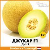 Диня Джукар F1, 5 шт, Голландське насіння R51136 фото