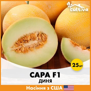 Диня Сара F1, 25 шт, США jkl12-25 фото