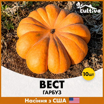 Гарбуз Вест, 10 шт, Американське насіння R51272 фото