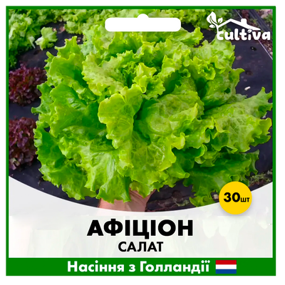 Салат Афіціон, 30 шт, Голландське насіння 00201 фото