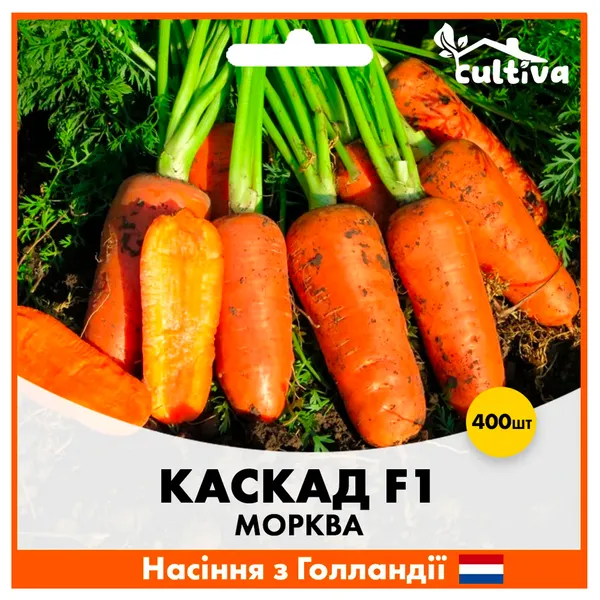 Семена моркови Каскад