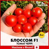 Томат черри Блоссом F1, 5 шт, Японские семена R51273 фото