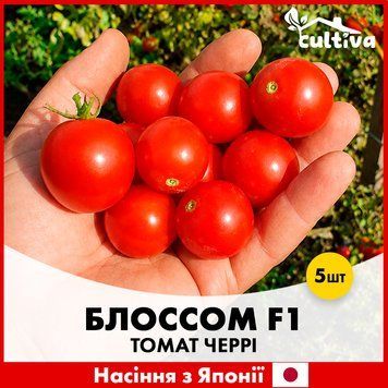Томат черрі Блоссом F1, 5 шт, Японське насіння R51273 фото