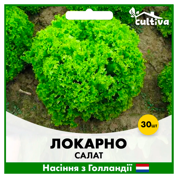 Салат Локарно, тип Лолло Биондо, 30 шт, Голландские семена 00202 фото