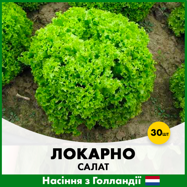 Салат Локарно, тип Лолло Биондо, 30 шт, Голландские семена 00202 фото