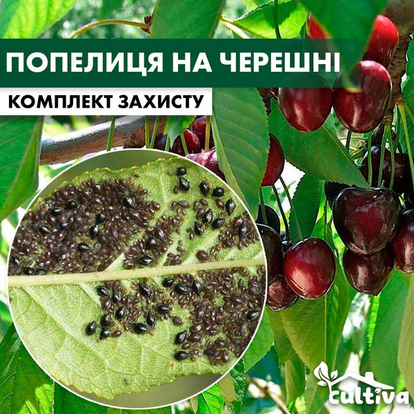 Попелиця на черешні - комплект захисту cheresh-popel-1 фото