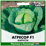 Капуста Агресор F1 2500 шт (Голландське насіння) K12 фото