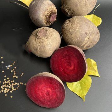 Буряк столовий Болівар, 250 г, Leda Agro R51352 фото
