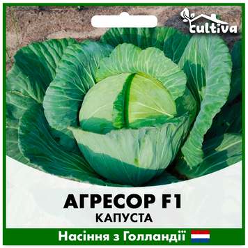 Капуста Агресор F1 2500 шт (Голландське насіння) K12 фото