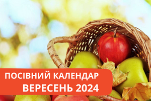 Посівний Календар на Вересень 2024 фото