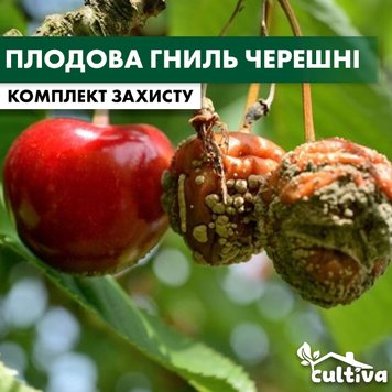 Плодова гниль черешні - комплект захисту cheresh-plod-gnil-1 фото