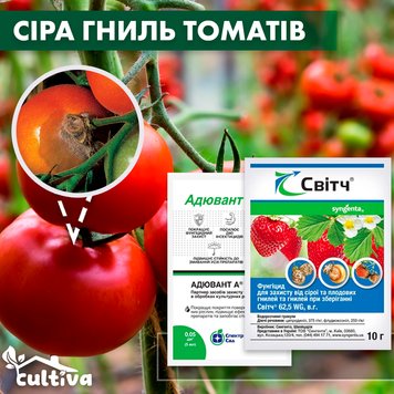 Сіра гниль томатів – комплект захисту sir-hnil-tom-1 фото