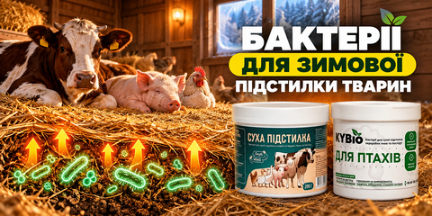 бактерії для підстилки