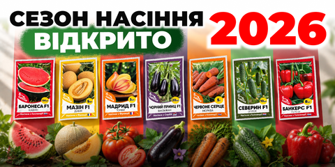 Насіння овочів 2026
