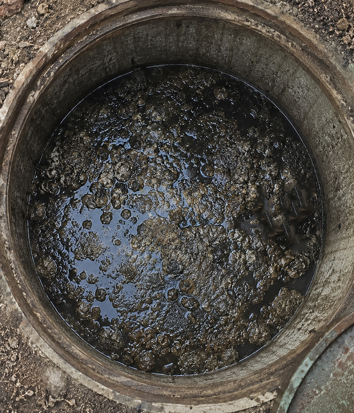 Стан септика до використання Septi Well